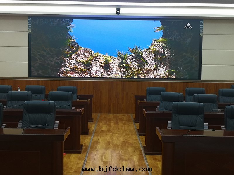 大(dà)足人大(dà)常委 (1).jpg